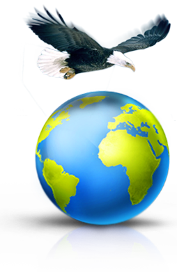 Domination Marketing